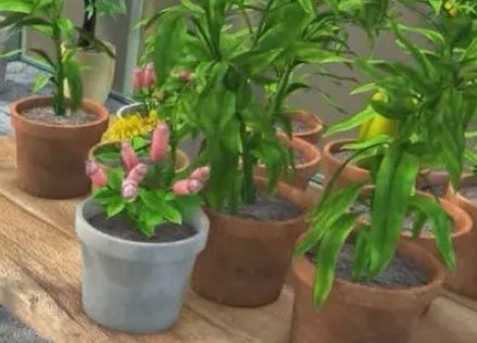 养花室内湿度多少最好养活(花房湿度多少合适)